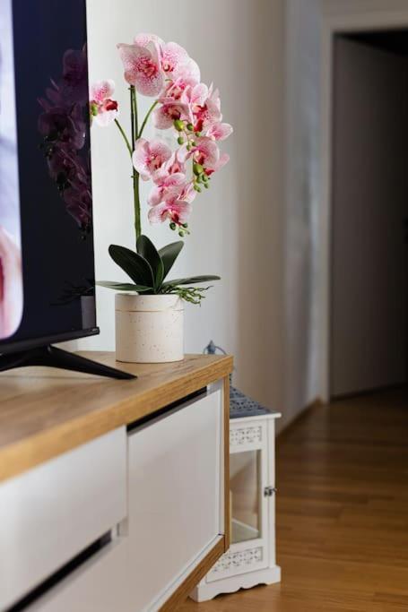Apartman Lux Self Check-In Virovitica Buitenkant foto